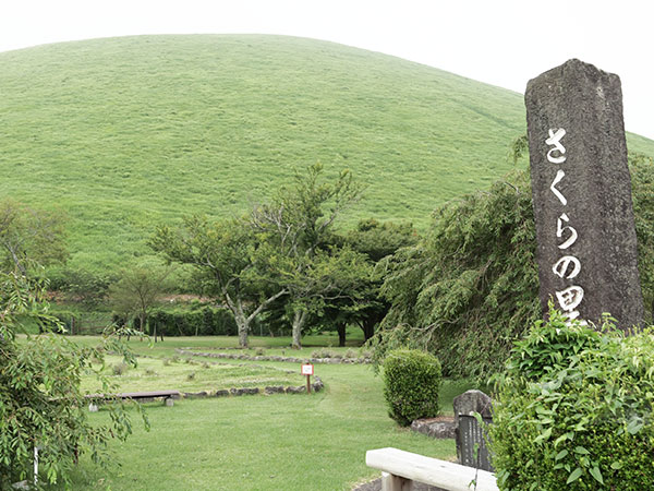 さくらの里 ドッグラン