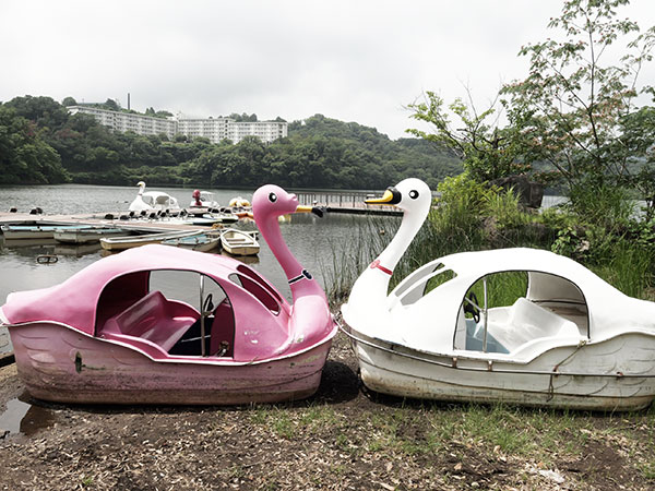 一碧湖 (第一駐車場) 画像2