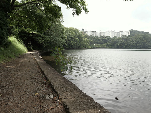 一碧湖 (第一駐車場) 画像4
