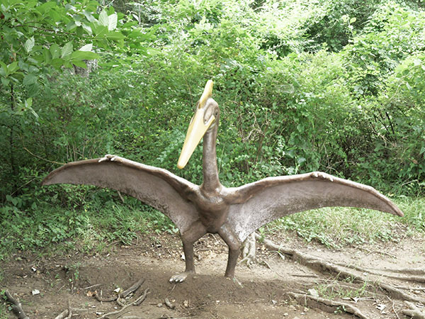 恐竜広場 画像3