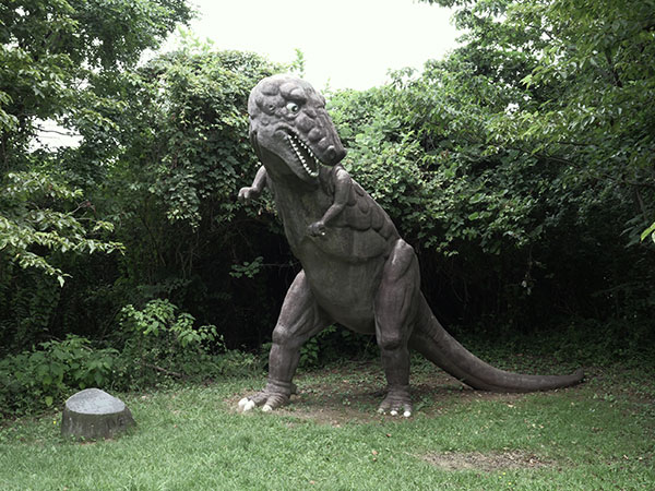恐竜広場 画像5