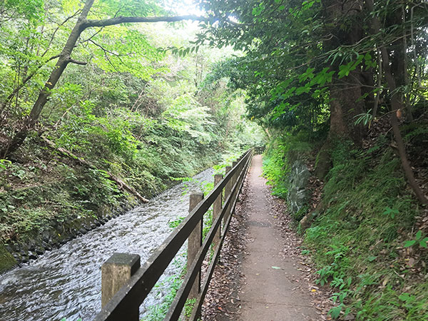 城ケ崎自然研究路 画像2