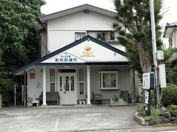やんもの里動物診療所 画像2