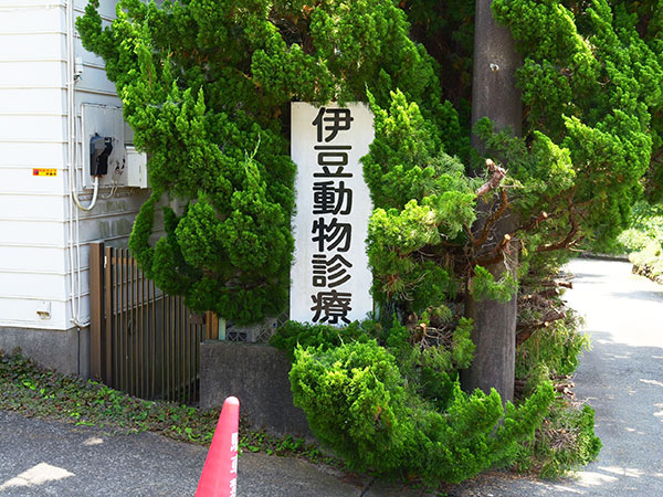 伊豆動物診療